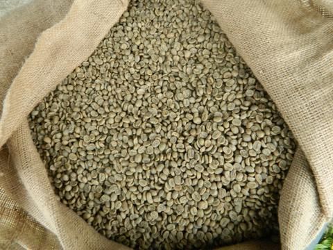 Grade AAA Organic Arabica Coffee Green Beans