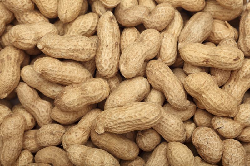 Shelled Groundnuts