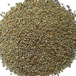 millet seeds