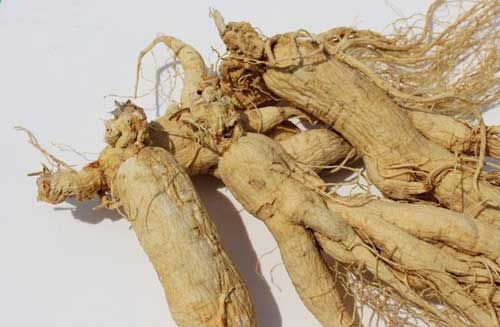 Natural Organic Gensing Extract/Root/Powder