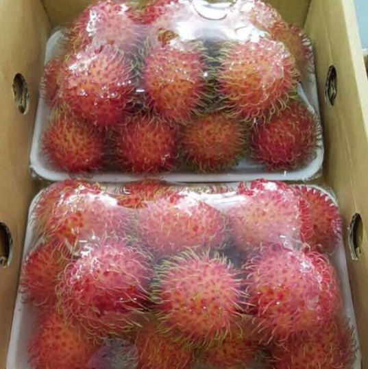 Rambutan Fresh Fruit