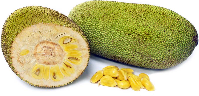 Fresh Jackfruit