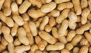 Common Shelled Peanuts, for Making Flour, Making Oil, Packaging Type : Gunny Bag, Jute Bag, Plastic Bag