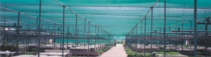 Agro Shade Net, Length : 25/50 (m)