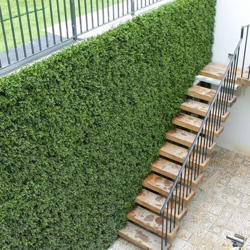 Artificial Green Wall Installation Services