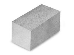 ACC fly ash bricks