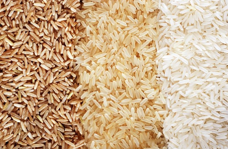 Retailer Of Rice From Bhubaneswar Odisha By Mahadev Enterprises
