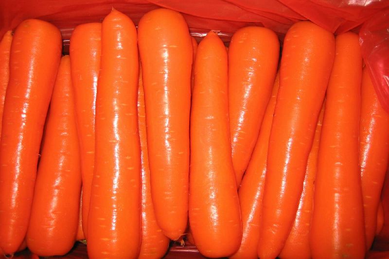 Fresh Carrots