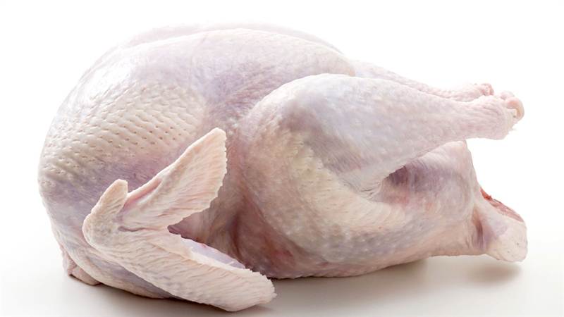 Frozen Turkey Meat