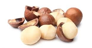 Macadamia Nuts With Shell and Without Shell
