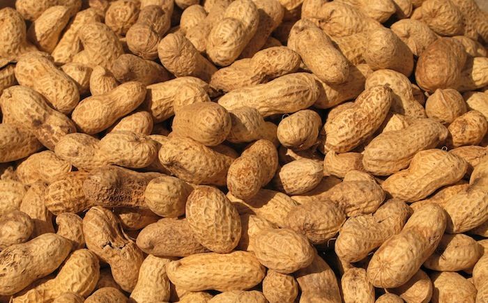 Shelled Groundnuts
