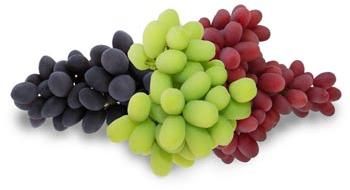 fresh grapes