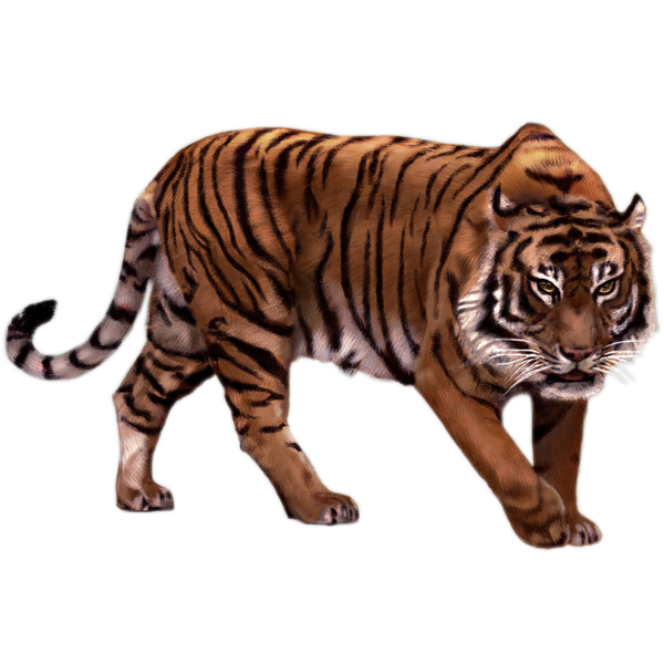 Lord Leather Animal Tiger statues at best price INR 100 / Piece in Mumbai  Maharashtra from Lord krishna impex Pvt. Ltd. | ID:3383445