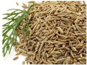 cumin seeds