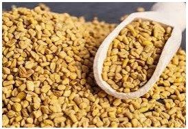fenugreek seeds