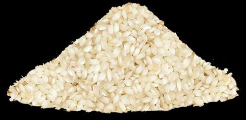 PR-11 Non Basmati Rice