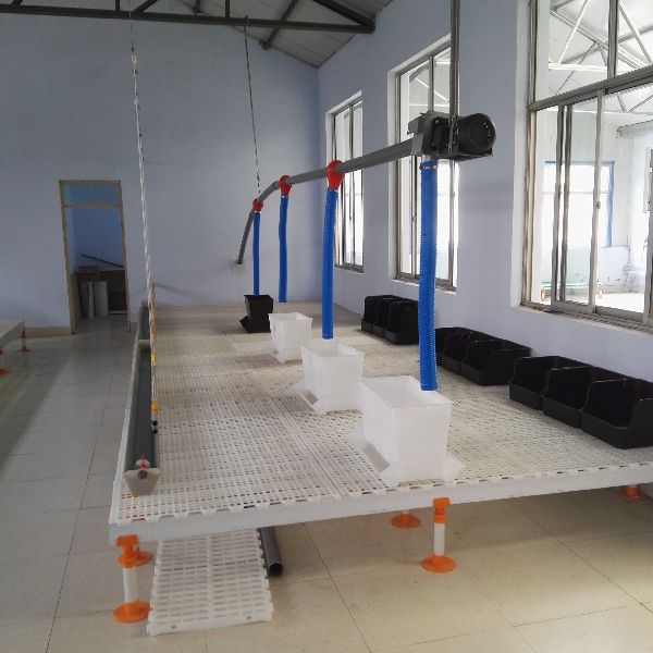 Duck Automatic Feeding Line Manufacturer In Zhucheng China By