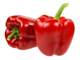 Capsicum