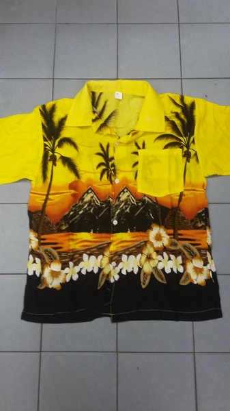 Hawaiian's Shirt