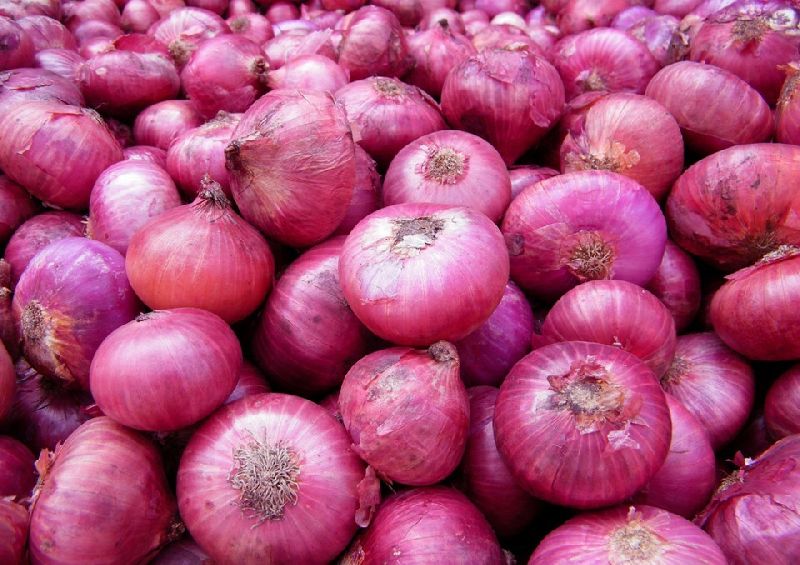 Fresh red onion, Packaging Size : 10kg, 20, 5kg, etc