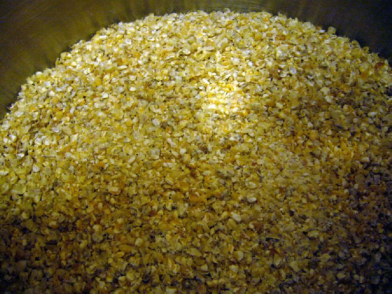 Crushed Yellow Corn For Sale Buy crushed yellow corn for best price at