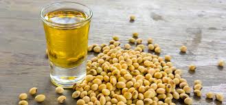 Soybean Seed Oil