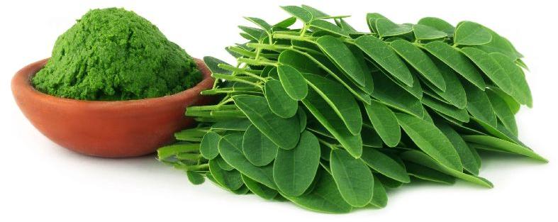 Moringa Leaf Powder