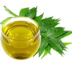 Neem oil, for Skin Care, Hair Care, Form : Liquid