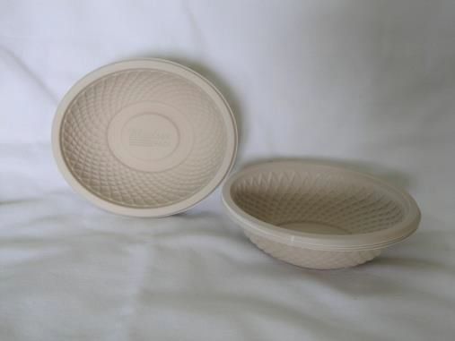 Biodegradable Oval Bowl