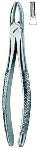 ENG Dental Extracting Forceps