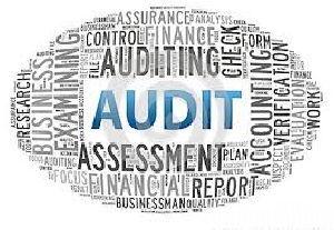 MCA Compliance Audit Services