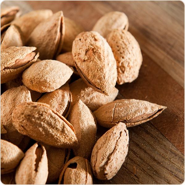 almonds in shell by cam wood, shell almonds from douala Cameroon ID