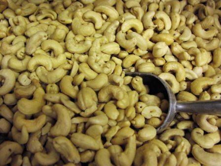 cashew nut count