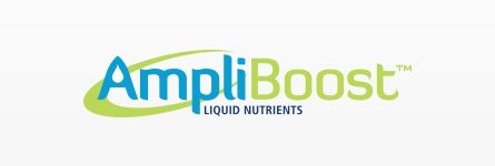 Ampli Boost