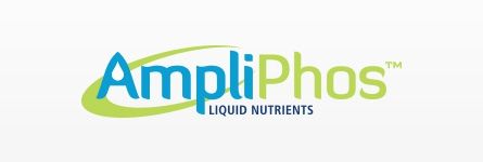 Ampli Phos