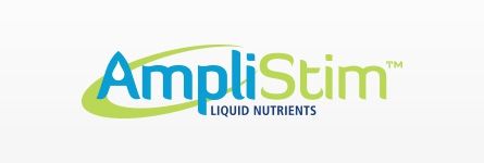 Ampli Stim