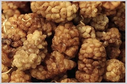 Brown Dried Mulberries