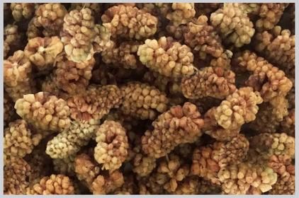 Dark Dried Mulberries
