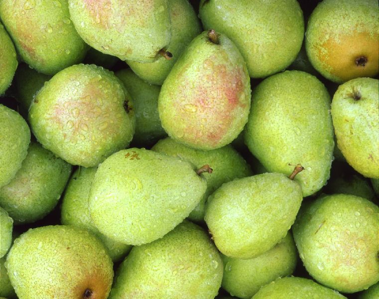 Delicious Fresh Pear Fruits