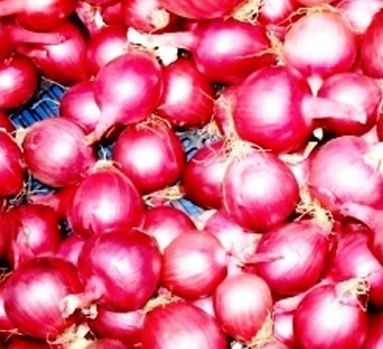 fresh red onion