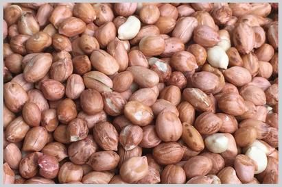Peanut Kernels