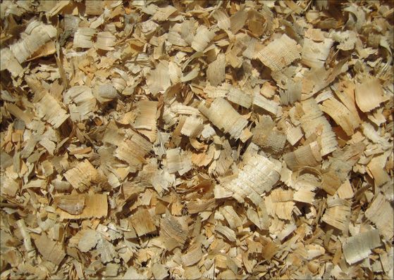 Pine Wood Shavings - Coarse