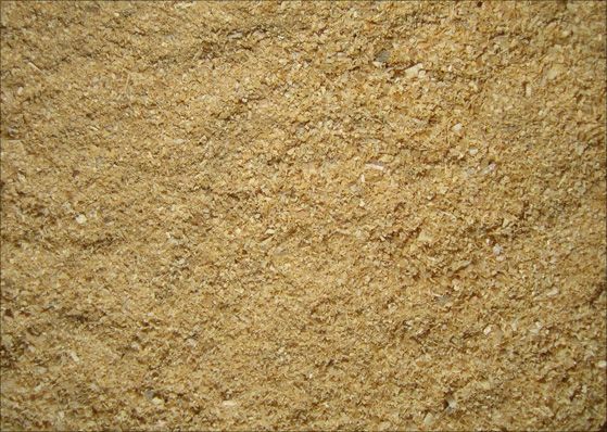 Pine Wood Shavings (Fine)