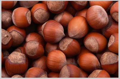 Shelled Hazelnuts