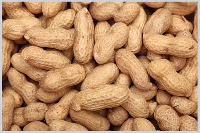 Shelled Peanuts