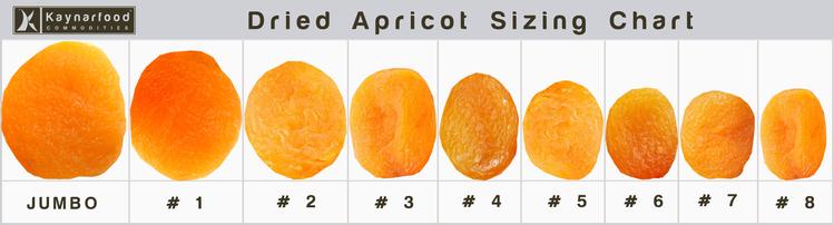 natural-dried-apricots-by-farfetch-industrial-pty-ltd-natural-dried