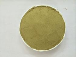 dehydrated coriander leaves powder