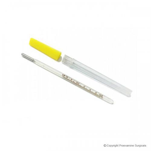 Dual Scale Mercury Thermometer