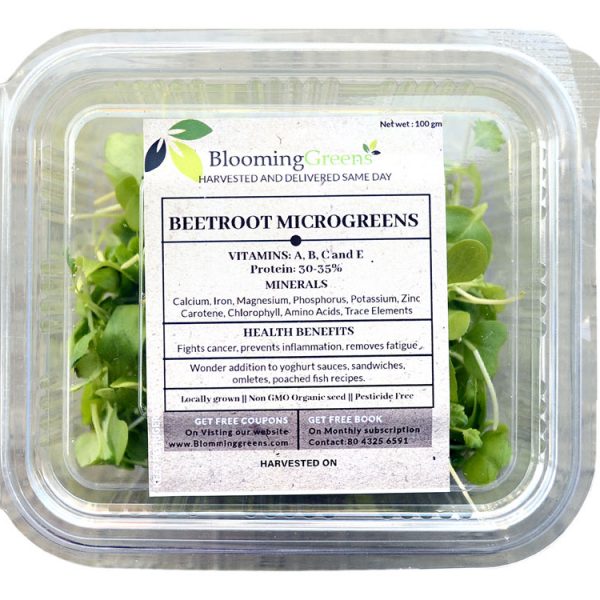 Beetroot Microgreens