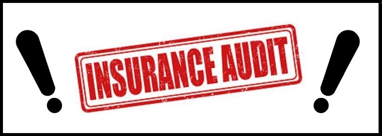 Insurance Policy Audit